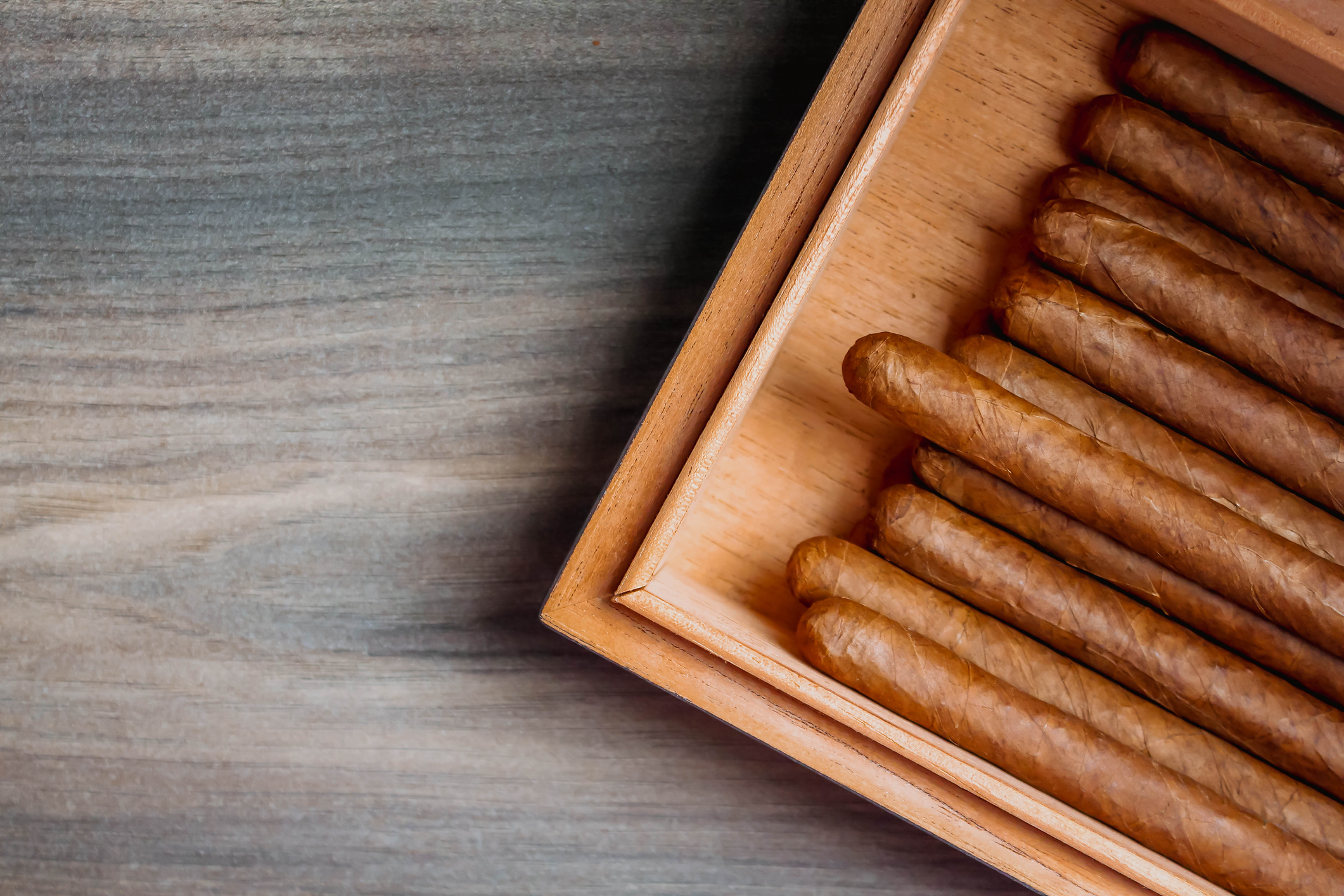 Premium cigars in wooden humidor